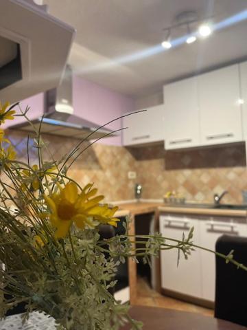 Taverna Coctel โปเรช ภายนอก รูปภาพ